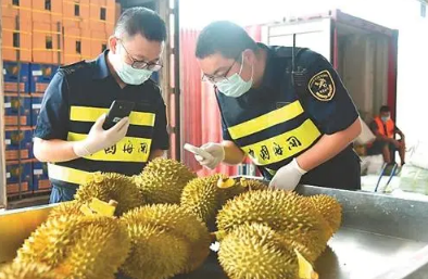 水果進口都要注意哪些問題？進口報關(guān)都需要哪些資料？